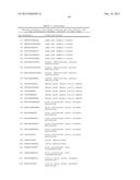 NOVEL IMMUNOTHERAPY AGAINST SEVERAL TUMORS OF THE BLOOD, IN PARTICULAR     CHRONIC LYMPHOID LEUKEMIA (CLL) diagram and image