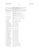 NOVEL IMMUNOTHERAPY AGAINST SEVERAL TUMORS OF THE BLOOD, IN PARTICULAR     CHRONIC LYMPHOID LEUKEMIA (CLL) diagram and image