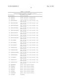 NOVEL IMMUNOTHERAPY AGAINST SEVERAL TUMORS OF THE BLOOD, IN PARTICULAR     CHRONIC LYMPHOID LEUKEMIA (CLL) diagram and image