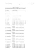 NOVEL IMMUNOTHERAPY AGAINST SEVERAL TUMORS OF THE BLOOD, IN PARTICULAR     CHRONIC LYMPHOID LEUKEMIA (CLL) diagram and image