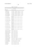 NOVEL IMMUNOTHERAPY AGAINST SEVERAL TUMORS OF THE BLOOD, IN PARTICULAR     CHRONIC LYMPHOID LEUKEMIA (CLL) diagram and image