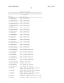 NOVEL IMMUNOTHERAPY AGAINST SEVERAL TUMORS OF THE BLOOD, IN PARTICULAR     CHRONIC LYMPHOID LEUKEMIA (CLL) diagram and image