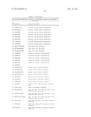 NOVEL IMMUNOTHERAPY AGAINST SEVERAL TUMORS OF THE BLOOD, IN PARTICULAR     CHRONIC LYMPHOID LEUKEMIA (CLL) diagram and image