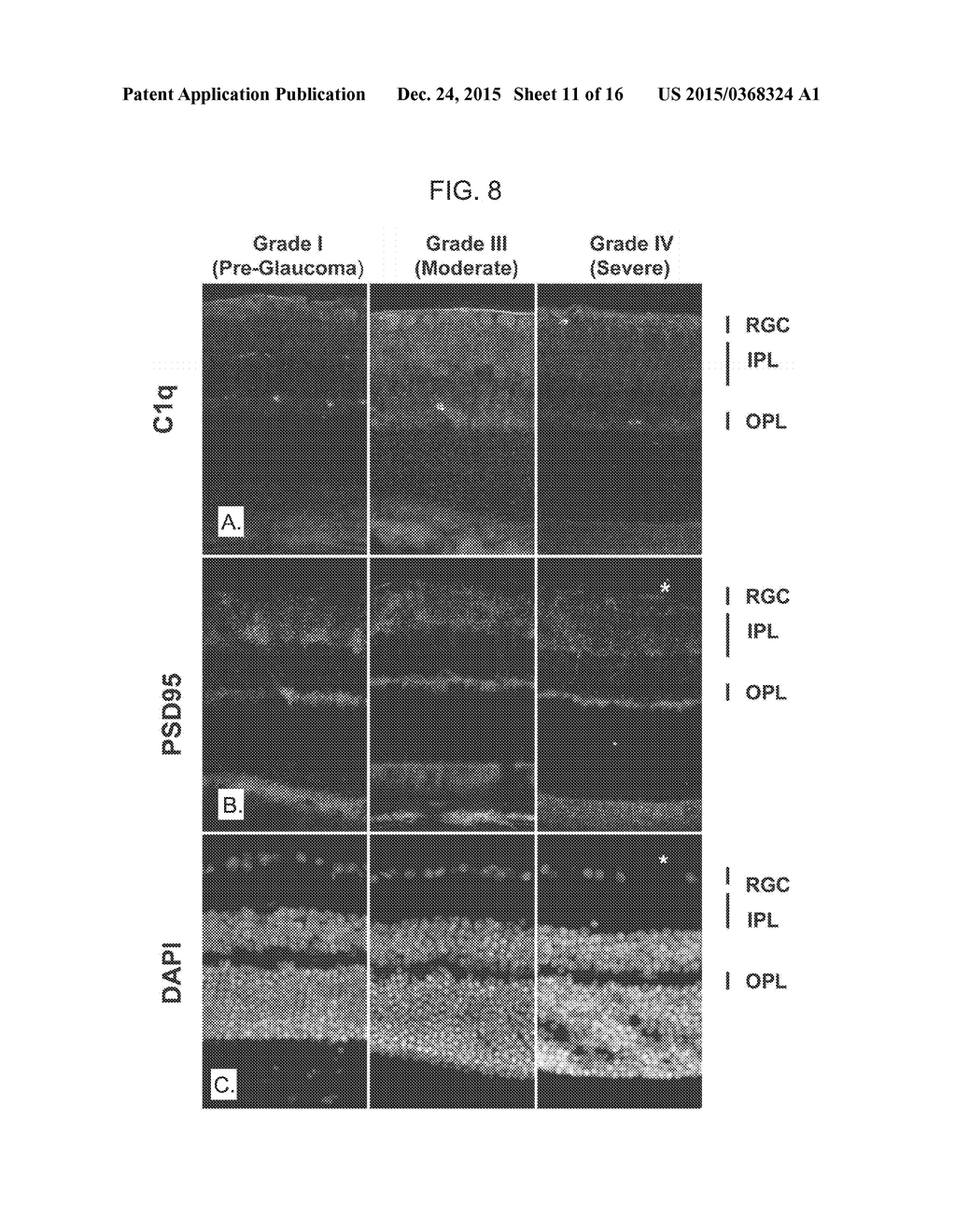 MODULATION OF SYNAPTIC MAINTENANCE - diagram, schematic, and image 12