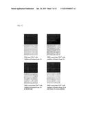 ANTI-SEMAPHORIN 3A ANTIBODY AND TREATMENT OF ALZHEIMER S DISEASE AND     INFLAMMATORY IMMUNE DISEASES USING SAME diagram and image