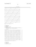 ANTI-SEMAPHORIN 3A ANTIBODY AND TREATMENT OF ALZHEIMER S DISEASE AND     INFLAMMATORY IMMUNE DISEASES USING SAME diagram and image