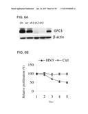 HUMAN MONOCLONAL ANTIBODIES SPECIFIC FOR GLYPICAN-3 AND USE THEREOF diagram and image