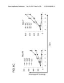 HUMAN MONOCLONAL ANTIBODIES SPECIFIC FOR GLYPICAN-3 AND USE THEREOF diagram and image