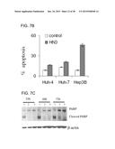 HUMAN MONOCLONAL ANTIBODIES SPECIFIC FOR GLYPICAN-3 AND USE THEREOF diagram and image