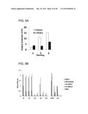 HUMAN MONOCLONAL ANTIBODIES SPECIFIC FOR GLYPICAN-3 AND USE THEREOF diagram and image