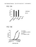 HUMAN MONOCLONAL ANTIBODIES SPECIFIC FOR GLYPICAN-3 AND USE THEREOF diagram and image