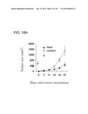 HUMAN MONOCLONAL ANTIBODIES SPECIFIC FOR GLYPICAN-3 AND USE THEREOF diagram and image