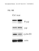 HUMAN MONOCLONAL ANTIBODIES SPECIFIC FOR GLYPICAN-3 AND USE THEREOF diagram and image