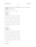 METHOD FOR THE SELECTION OF ANTIBODIES AGAINST BCMA diagram and image