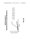 NOVEL MULTISPECIFIC CONSTRUCTS diagram and image