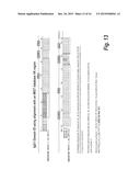 ANTIBODIES AGAINST EPIDERMAL GROWTH FACTOR RECEPTOR (EGFR) AND USES     THEREOF diagram and image