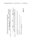 ANTIBODIES AGAINST EPIDERMAL GROWTH FACTOR RECEPTOR (EGFR) AND USES     THEREOF diagram and image