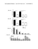 ANTI-HISTONE THERAPY FOR VASCULAR NECROSIS IN SEVERE GLOMERULONEPHRITIS diagram and image