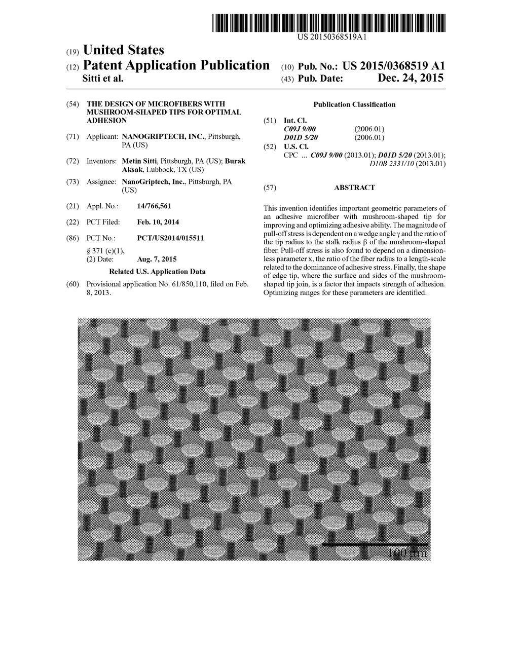 THE DESIGN OF MICROFIBERS WITH MUSHROOM-SHAPED TIPS FOR OPTIMAL ADHESION - diagram, schematic, and image 01