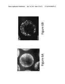 DESIGN AND HOT EMBOSSING OF MACRO AND MICRO FEATURES WITH HIGH RESOLUTION     MICROSCOPY ACCESS diagram and image