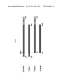 VITRONECTIN-DERIVED CELL CULTURE SUBSTRATE AND USES THEREOF diagram and image