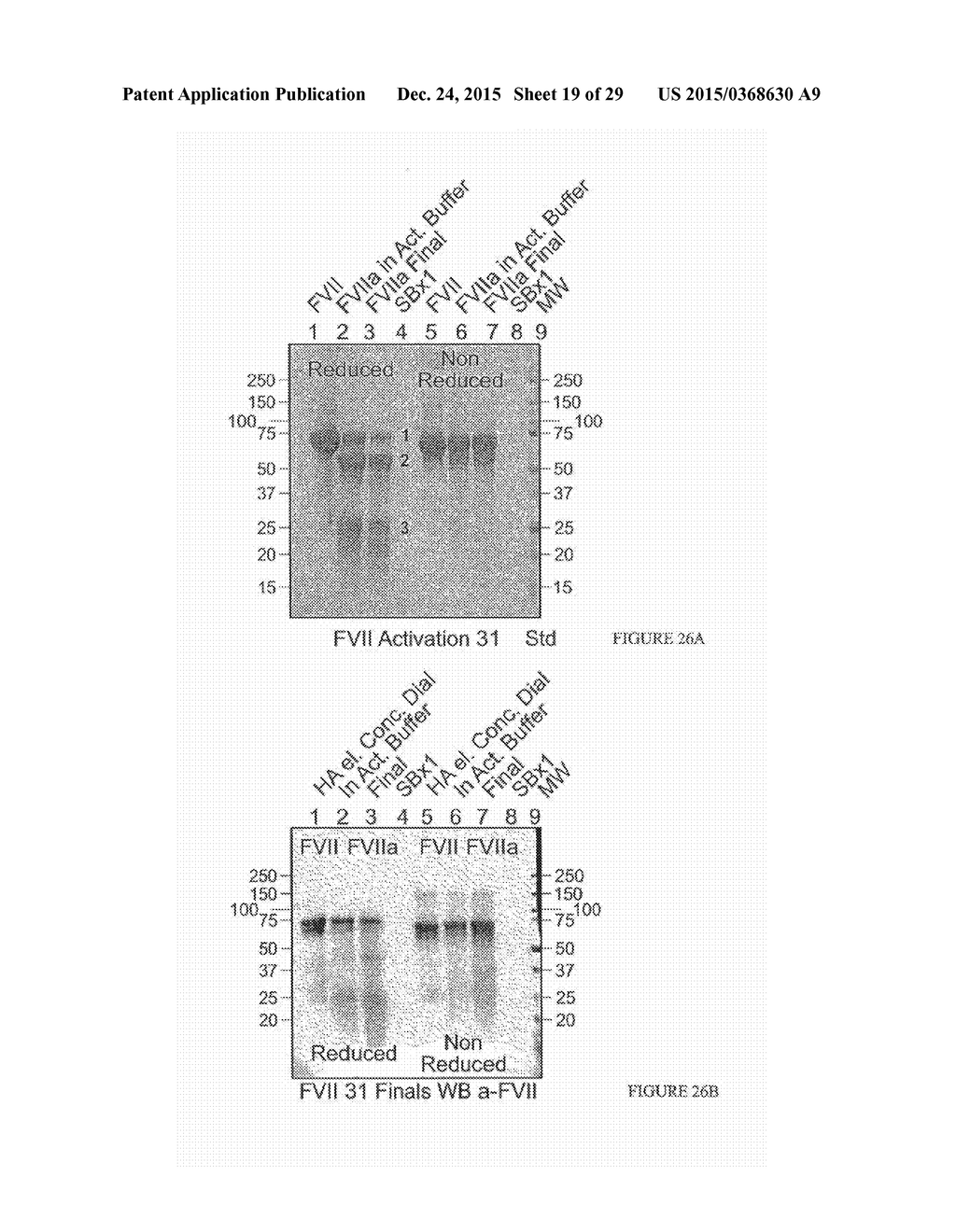 LONG-ACTING COAGULATION FACTORS AND METHODS OF PRODUCING SAME - diagram, schematic, and image 20