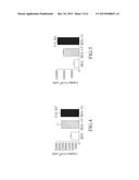 Pharmaceutical Composition for Elevating Radiation-Sensitivity of Cancer     Cells, Pharmaceutical Composition for Detecting Cancer Cells with     Radiation-Sensitivity, and Detection Method Thereof diagram and image