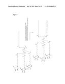 LNA OLIGONUCLEOTIDE CARBOHYDRATE CONJUGATES diagram and image