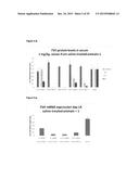 LNA OLIGONUCLEOTIDE CARBOHYDRATE CONJUGATES diagram and image