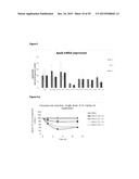 LNA OLIGONUCLEOTIDE CARBOHYDRATE CONJUGATES diagram and image