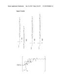 LNA OLIGONUCLEOTIDE CARBOHYDRATE CONJUGATES diagram and image