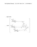 LNA OLIGONUCLEOTIDE CARBOHYDRATE CONJUGATES diagram and image