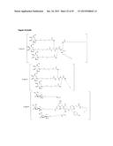 LNA OLIGONUCLEOTIDE CARBOHYDRATE CONJUGATES diagram and image