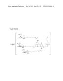 LNA OLIGONUCLEOTIDE CARBOHYDRATE CONJUGATES diagram and image