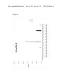 LNA OLIGONUCLEOTIDE CARBOHYDRATE CONJUGATES diagram and image