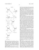 LNA OLIGONUCLEOTIDE CARBOHYDRATE CONJUGATES diagram and image