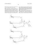 LNA OLIGONUCLEOTIDE CARBOHYDRATE CONJUGATES diagram and image