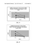 FURIN-KNOCKDOWN BI-FUNCTIONAL RNA diagram and image