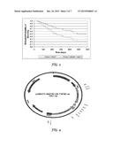 FURIN-KNOCKDOWN BI-FUNCTIONAL RNA diagram and image