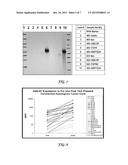 FURIN-KNOCKDOWN BI-FUNCTIONAL RNA diagram and image