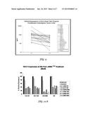 FURIN-KNOCKDOWN BI-FUNCTIONAL RNA diagram and image