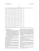 FURIN-KNOCKDOWN BI-FUNCTIONAL RNA diagram and image