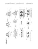 Tobacco Having Altered Amounts of Environmental Contaminants and Methods     for Producing Such Lines diagram and image