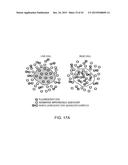 VIABILITY STAINING METHOD diagram and image