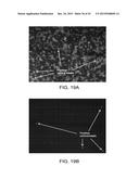 VIABILITY STAINING METHOD diagram and image