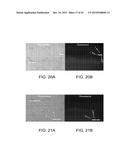 VIABILITY STAINING METHOD diagram and image