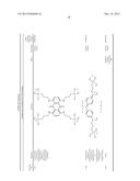 VIABILITY STAINING METHOD diagram and image