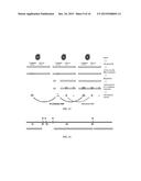 METHODS FOR CLOSED CHROMATIN MAPPING AND DNA METHYLATION ANALYSIS FOR     SINGLE CELLS diagram and image