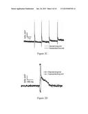 OPTOGENETIC PROBES FOR MEASURING MEMBRANE POTENTIAL diagram and image