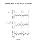 OPTOGENETIC PROBES FOR MEASURING MEMBRANE POTENTIAL diagram and image